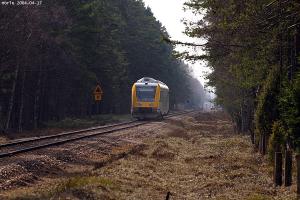 Yellow DMU approaches through a forest.