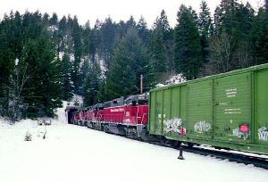 Train enters tunnel, in the middle of snow and high trees.