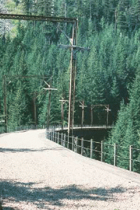 Bikepath trestle 
with catenary poles, in the Cascades